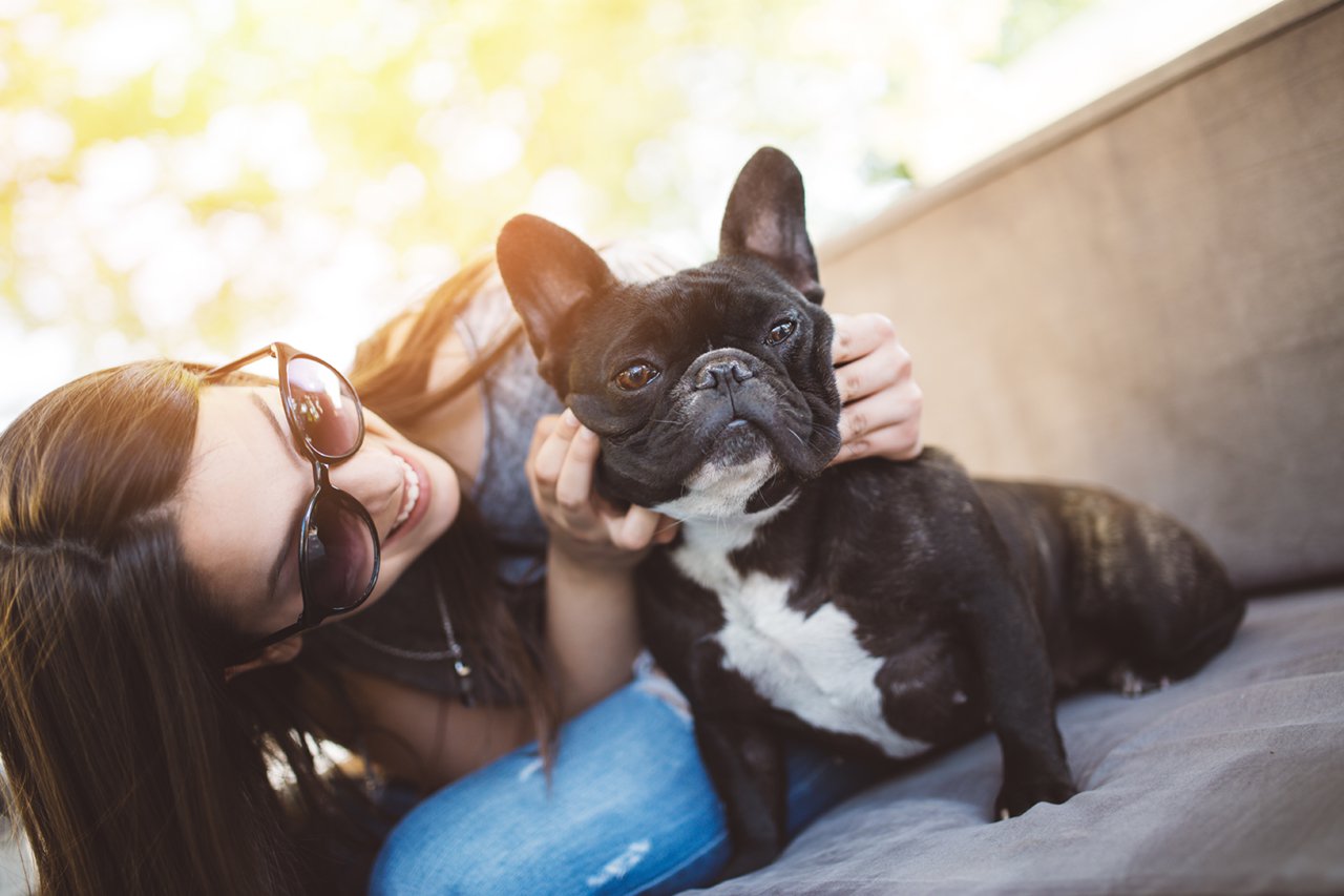 200 Fifth Ave Apartments pets